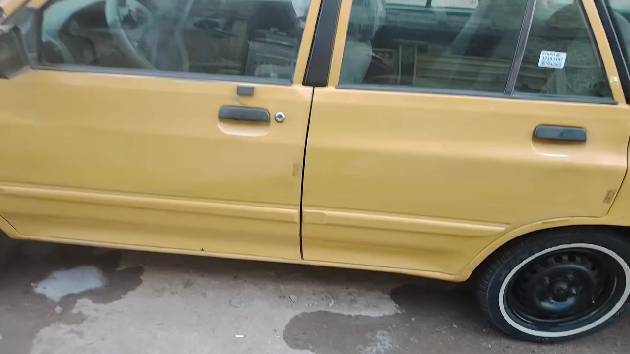 سايبه منغولي 12 جاهزه للبيع مكاني بغداد حي أور ***********
