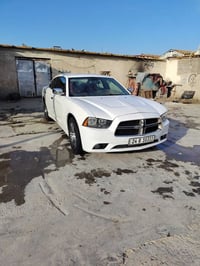 جارجر ١٣ • ابيض صدفي • رقم دهوك