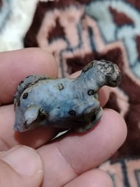 داوودية • نقشة فرس • عروق واضحة