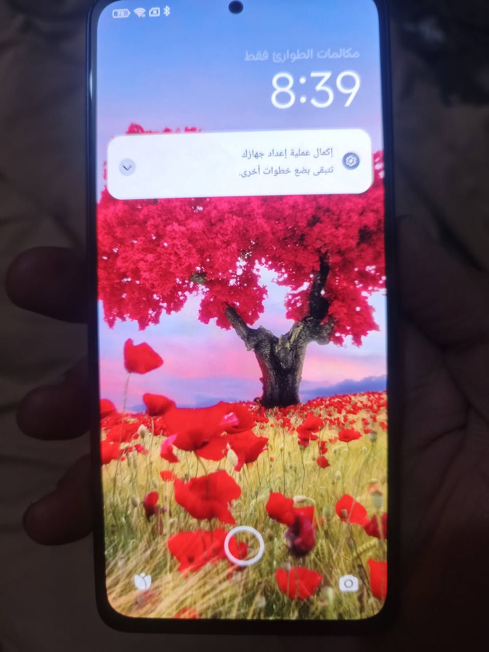 ريدمي نوت ١٣ برو ذاكرة ٢٥٦+١٦ معالجة ٦٠ فريم بصمة بلشاشة سعر ١٥٠ شراي خابرني وتدلل مكاني بغداد مدينة الصدر اورفلي سكلات ***********
