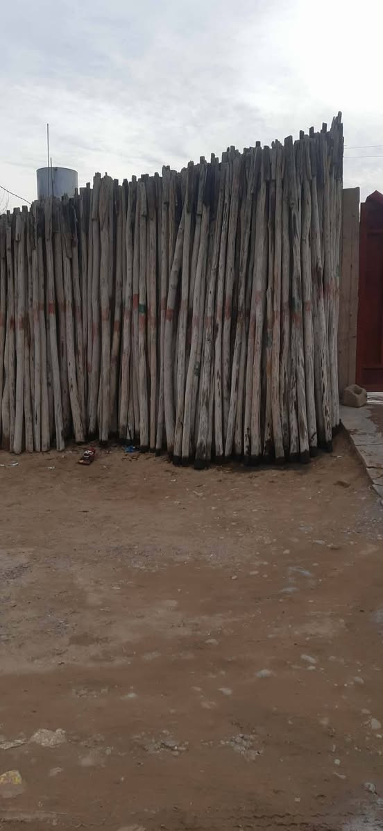 السلام عليكم دراسك طول3 للبيع السعر زوج 5 بيجي ‏‪***********‬‏
