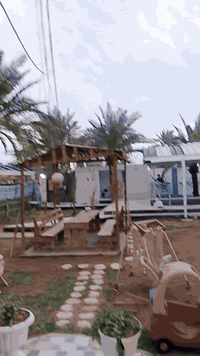 مزرعه #مجمع ومزرعة الكابتن مكان جميل وأجواء هادئة وبالامكان اصطحاب الاطفال والعائلة

اليها.

حجوزات للعوائل فقط.

ايضا يوجد منتزه وألعاب للاطفال لمن يرغب اللعب فيه. وقاعة بوينت بول للشباب والشابات والصغار ايضا.

العنوان)

بغداد الدورة مدخل سيطرة البوعيثة بعد مجزره بغداد العصرية ب ۳۰۰ متر مدخل مجمع العيثاوي الطبي.

للتواصل

*********** المزرعه موثقه في تطبيق اجرلي
