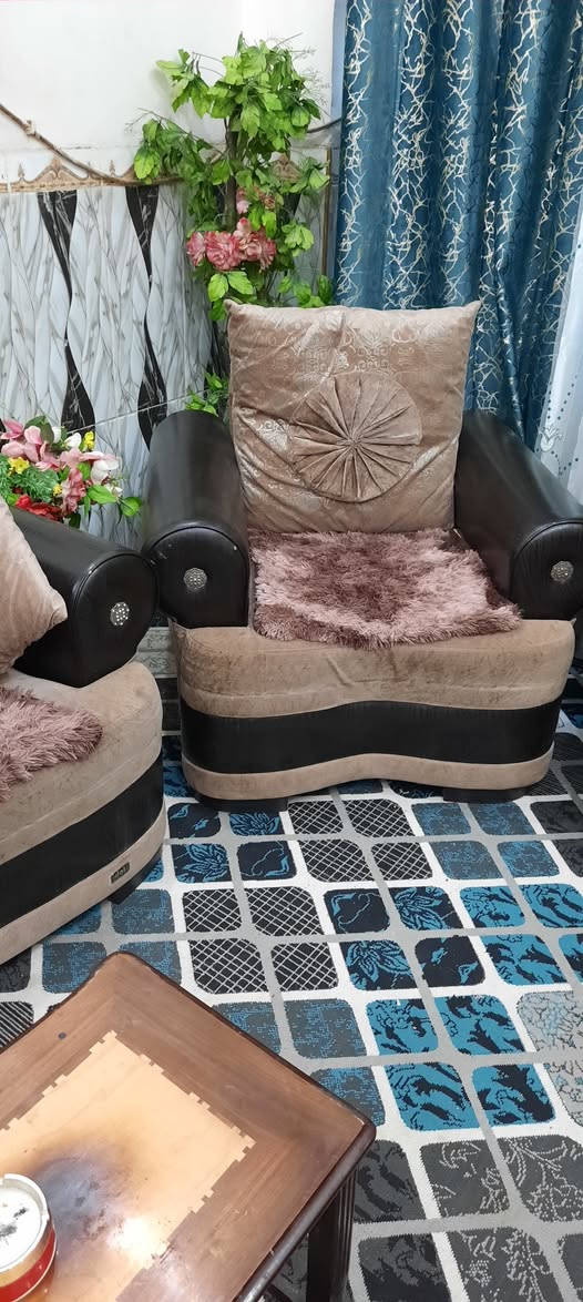 البيع تخم اصلي أوربي عنوان ميسان عماره اتصل 《***********》 موجود واتساب سعر مناسب  ملاحظة مكلف بالنشر فقط عمارة, ميسان
