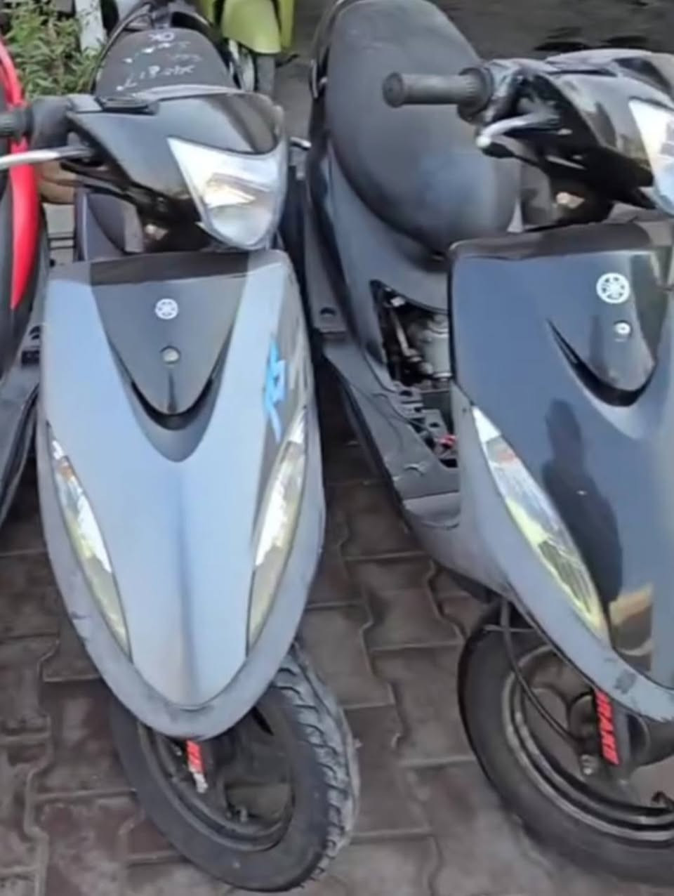 مرحبا بكم في معرض البيادر للدراجات  الناريه 🥇🏆 نحن  نهتم بتقديم دراجات  ناريه عالية الجودة وخدمة متميزة لمحبي الدراجات باله⚜️ صناعات يابانيه  🔺باله الاصلي🔻 ياباني فقط  هدفنا هو مساعدتكم في العثور على الدراجة المثالية التي تتناسب مع احتياجاتكم 🔺
- دراجات ناريه من علامات ماركات عالميه🔺
-دراجة جاهزه من كل نواحي VIP🔻
 العروض والدراجات الناريه 🔺
للاستفسار اكثر الاتصال على الرقم📱 *********** 
او مراسلتنا  وتساب *********** فقط متواجدون اسيا اتصال او وتساب فقط
💠عروض الجديده   ⚜️ ⚜️ليصلكم كل جديد يتم نشر كل ما يخص نشر بيع دراجات  متنوعه نشر معلومات مهمه مفيدة لكم عن دراجات 
توجد نقليات كل المحافضات 
توصيل الى باب المنزل
 الاسعار 
دراجات ماكس عدله ٥٠٠ ألف
دراجات ماكس منغولي ٥٠٠ ألف
دراجات ماكس قجمه ٥٠٠  ألف
دراجات ماكس ثعلب ٥٠٠  ألف
دراجه ماكس  مضلع ٥٠٠ ألف
دراجات بريز لايت عالي ٦٥٠ ألف
دراجه بريز لايت ناصي ٥٠٠ ألف
دراجات سبيسي ياباني  ٥٠٠ ألف
دراجات سكنس فحل نوزل خطين استان كهربائي قبق نفخ ٦٠٠ ألف
دراجات سكنس نثيه ٥٠٠ ألف
دراجات فراشه ٤٠٠ألف
دراجات فضائي ٤٠٠ ألف
دراجات تسع زروف ٤٥٠ ألف
دراجات ماكس منغولي ابو السله ٤٠٠ألف
دراجات عصفوريه ٤٠٠ألف
دراجه دولفين ٣٥٠ ألف
دراجه بطه ٤٠٠ ألف
رجاء تواصل وتساب او اتصال اسيا
