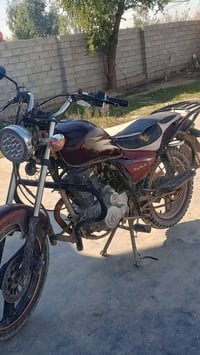 موطور • أوراق كاملة • الهشميات