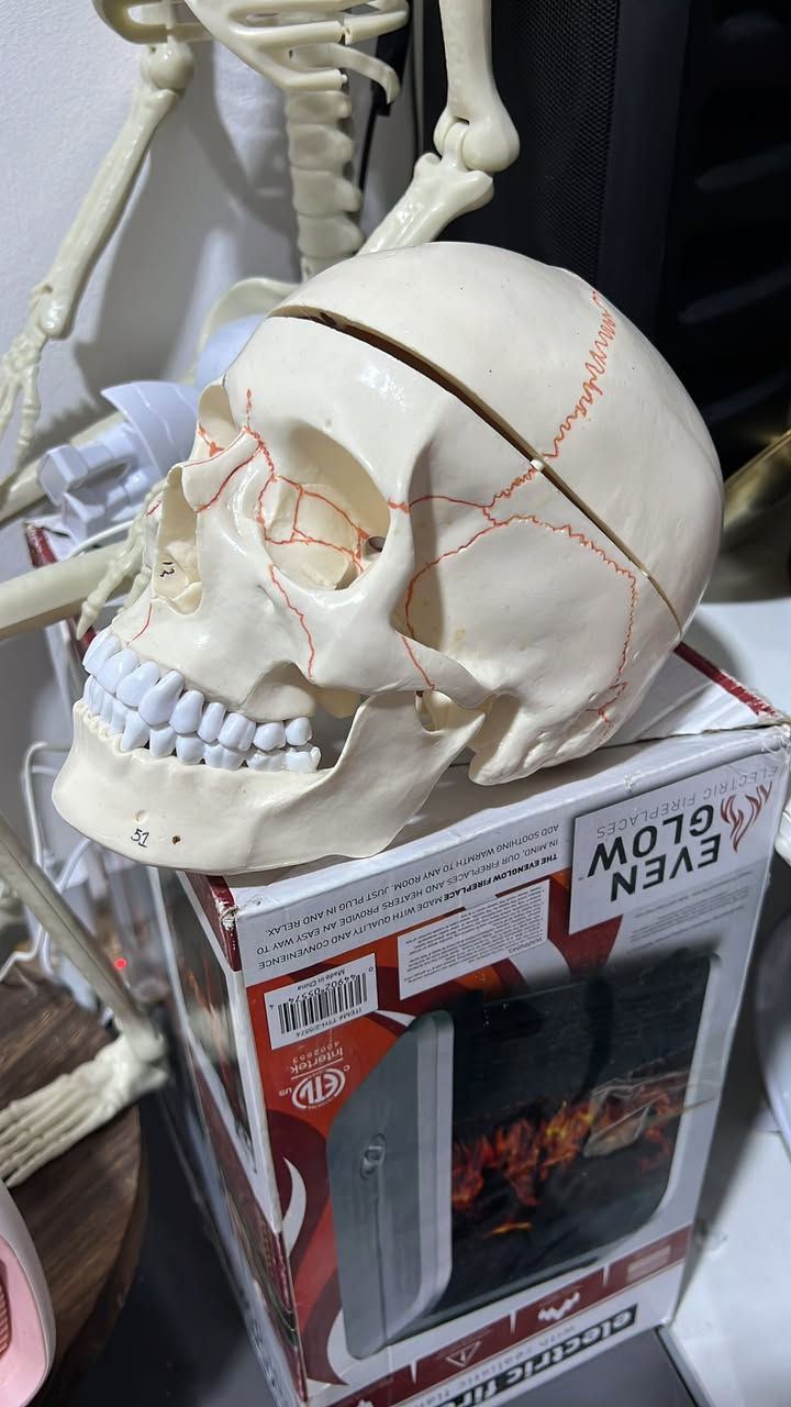 ‏جمجمة حجم كبير مع التوصيل25قفل مل دراسة


**إذا كنت صاحب هذا الإعلان وتريد حذفه لأي سبب، رجاءا أرسل رسالة إلى الدعم الفني**