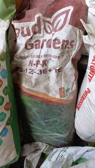 متوفر سماد NPK 20-20-20 + TE من شركة ALJOUD AGRITECH
شركة الجود العراقية المتخصصة بانتاج افضل وارخص الاسمدة المخصصة فيىالتعامل مع اغلب الترب المالحة
وهذا واحد من أفضل أنواع الأسمدة المتعادلة المتوازنة (Balanced fertilizer) مع إضافة العناصر الصغرى (TE = Trace Elements).
سأعطيك شرحًا كاملًا يشمل: ✔ مكونات السماد
✔ فوائده بالتفصيل
✔ المحاصيل المناسبة
✔ التسميد مع الري أو رش ورقي
✔ جدول استخدام احترافي
✔ ملاحظات مهمة لنجاح التسميد
🔬 أولاً: ماذا يعني 20-20-20 ؟
يعني أن السماد يحتوي على:
N نيتروجين20%نمو خضري قوي – أوراق خضراءوتفرعات
P فسفور20%نمو الجذور – عقد الأزهار – قوة النبات
K بوتاسيوم20%مقاومة الأمراض – صلابة الساق – تحسين الثمار
TE العناصر الصغرى (B, Zn, Fe, Mn, Mg, Ca…)بنسب قليلةتعويض النقص ومنع الاصفرار والتشوهات
✔ هذا يعني سماد متعادل يناسب أغلب مراحل نمو النبات
✔ يصلح لجميع المحاصيل تقريبًا
✔ سريع الذوبان في الماء – مناسب للتنقيط والرش الورقي
🌿 المحاصيل المناسبة
مكتوب على الكيس Vegetables – Turf Grasses – Fruit Trees – Center Pivot – Foliar Application
أي أنه مناسب للآتي:
استخدام السماد للخضروات طماطة، خيار، باذنجان، بصل، ثوم، فلفل
لأشجار المثمرةزيتون، حمضيات، رمان، نخيل، عنب المسطحات الخضراءملاعب كرة، حدائق عامةالبيوت البلاستيكيةممتاز في التنقيط الرش الورقي ناعم وسريع الذوبان
⚡ فوائد هذا السماد
🟢 للنمو الخضري:
زيادة حجم الأوراق وتفرع النبات
يمنع الاصفرار الناتج عن نقص العناصر
🟠 للأزهار والثمار:
يعزز عقد الأزهار
يزيد من حجم الثمار
يحسن اللون والطعم
يساعد على تجانس الثمار
🔵 للتربة:
خالي من الكلور والصوديوم الضار
لا يرفع ملوحة التربة
يصلح للتسميد مع الملوحة المعتدلة
🧪 العناصر الصغرى TE:
تمنع نقص الزنك والحديد والمنغنيز
تحمي النبات من التشوهات الورقية
تعزز التمثيل الضوئي
💧 طرق التسميد (مهم جدًا)
1️⃣ مع الري (تنقيط أو غمر)
المرحلة و الكمية
بداية النمو1 كغم لكل دونم أسبوعياًمنتصف النمو2 كغم لكل دونم أسبوعياًمرحلة العقد2 – 3 كغم لكل دونم أسبوعياً
2️⃣ رش ورقي (ممتاز جدًا)
✔ 100 غرام في كل 20 لتر ماء
✔ يُرش في الصباح أو بعد العصر
✔ يضاف معه مادة ناشرة (مثل سوبر سبريدر)
🧭 ملاحظات ذهبية للاستخدام
⚠ لا يُخلط مع الأسمدة الكالسيومية في نفس الخزان
⚠ الأفضل تغيير تركيبتين NPK خلال الموسم (مثال: 20-20-20 ثم 30-10-10 أو 15-30-15)
⚠ يستخدم في مرحلة النمو الخضري والعقد
⚠ يمكن مزجه مع الهيومك أسيد
🌱 متى أستخدمه؟
هل مناسب؟بداية النمو✔ ممتازالعقد والأزهار✔ جيد جداًتسمين الثمار❌ استخدم 5-20-35 أو 0-0-50نقص العناصر✔ ممتاز بسبب الـ TEملوحة التربة✔ لا يحتوي على صوديوم
📌 خلاصة مهمة جدًا
✔ هذا السماد أساسي لكل مزارع
✔ ينفع في كل مرحلة ما عدا تسمين الثمار
✔ يفضل التبديل بعد 40 يوم إلى NPK آخر أعلى بوتاسيوم
✔ يعتبر رخيص – فعال – سهل الذوبان – سريع المفعول
كيس وزن ٢٥ كيلو
سعر الكيس ٨٣  الف
يوجد حجز و توصيل لجميع المحافظات
هاتف / ***********
