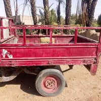 ستوته • شغاله • للبيع