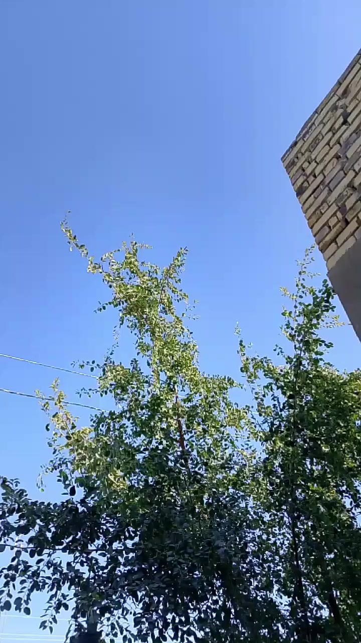 السلام عليكم دراجه فراشه فحل كرستال البيع  كله شغاله كهربائيات شاير يمنه يسره الايت عالي ناصي سلف هندر شرط نكره مكينه ناعمه حلووه  ولا تنقيص ولاتبخير دراجه على ايدي مكاني بابل القاسم سعره 300وبيه مجال الطيبن


**إذا كنت صاحب هذا الإعلان وتريد حذفه لأي سبب، رجاءا أرسل رسالة إلى الدعم الفني**