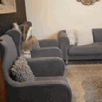 للبيع كلهن ب900 ميز طعام 4كرسي تخم 8 مقاعد طبلات عدد5 واحدة كبيرة و4 ص...