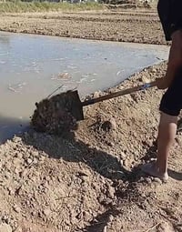 مدخل ثاني الراشدية • ٢ دونم • سند ٢٥