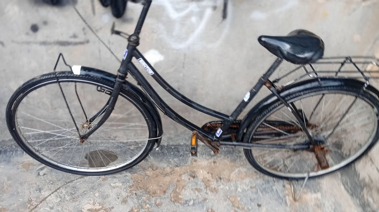 للبيع السعر 50العنوان طويريج


**إذا كنت صاحب هذا الإعلان وتريد حذفه لأي سبب، رجاءا أرسل رسالة إلى الدعم الفني**