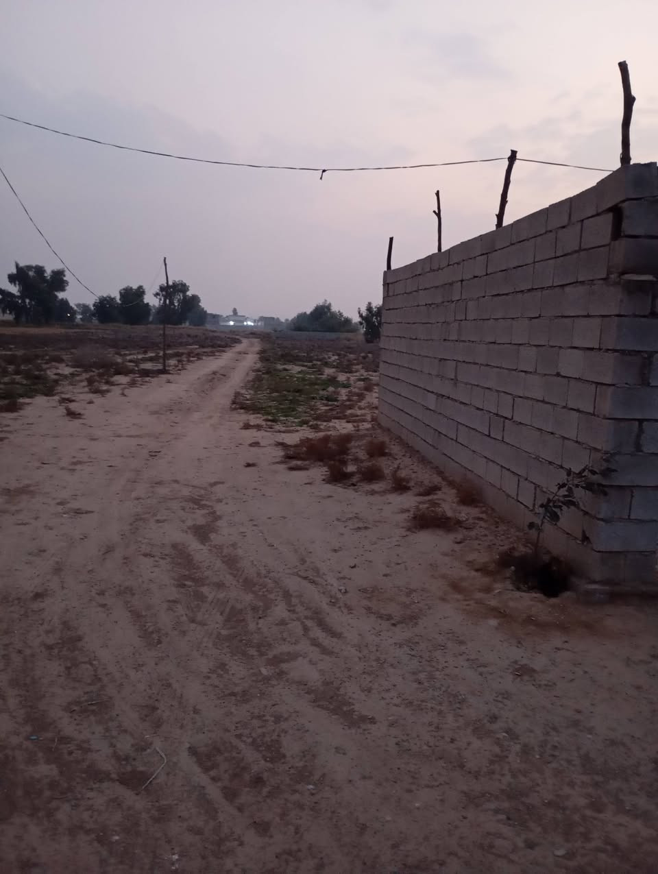 سلام عليكم دوار للبيع المساحة 150م
وسقيفة هم وياهة تريد السقيفة وحدهة عادي 
السقيفة عرض 9م ونزال 7م بير موجود بيهة ومزروعة شجر 
وبيهة تلث غرف الشراي بي خير ويدلل ه‍ ***********
