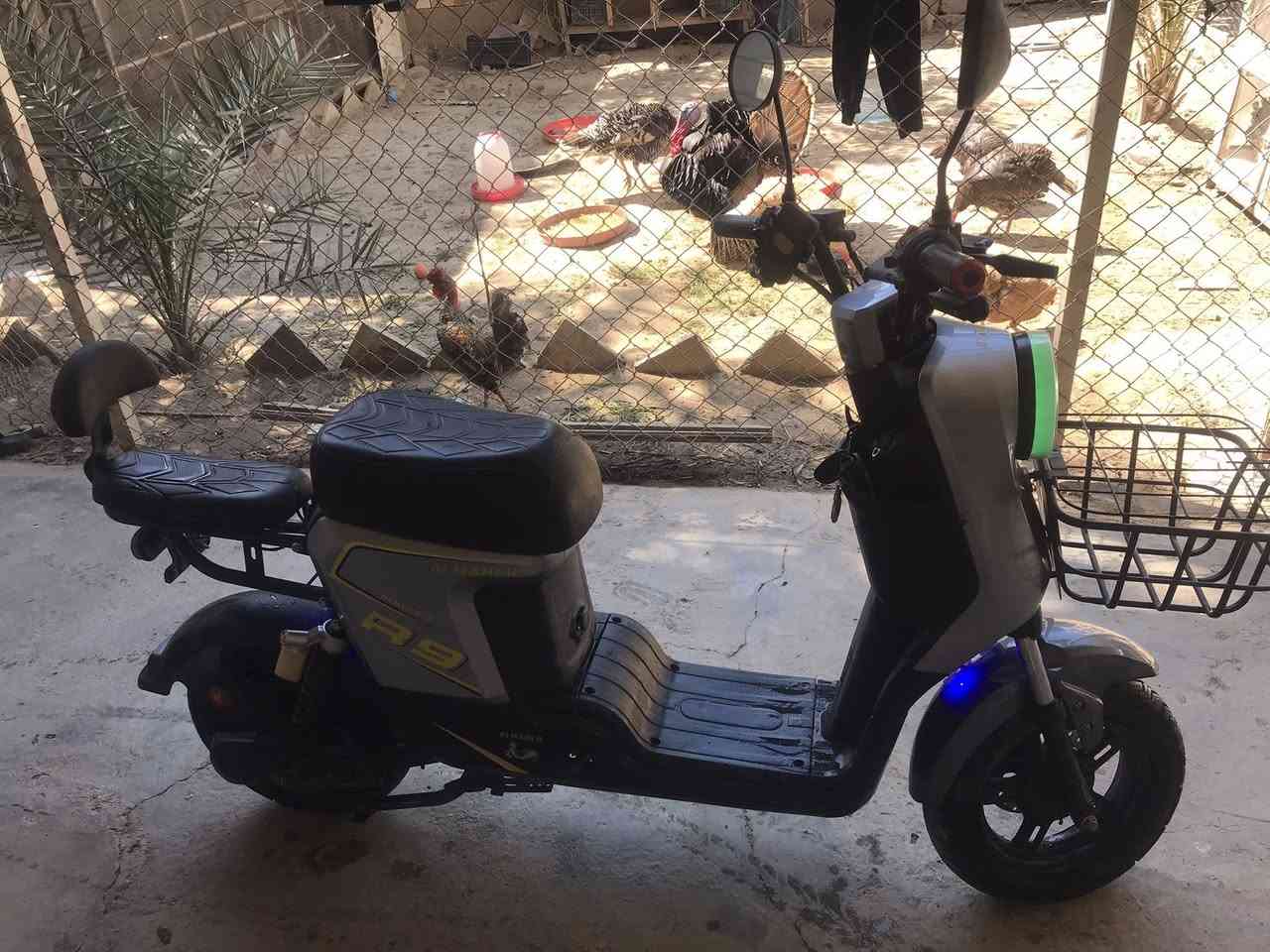 سلام عليكم دراجه شحن R9 5بطاريات السعر 450 وبيها مجال للستفسار خاص


**إذا كنت صاحب هذا الإعلان وتريد حذفه لأي سبب، رجاءا أرسل رسالة إلى الدعم الفني**