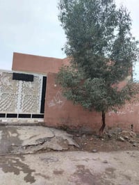 شارع أبو غزال • قطعة زراعيه • ٦٠٠م