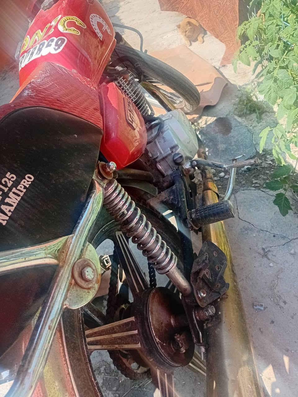 سافاني ٥ كير موديل ٢١ سعرها 350وبيها مجال
***********
