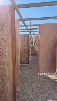 النجف • غسل السجاد • تجفيف بالشمس