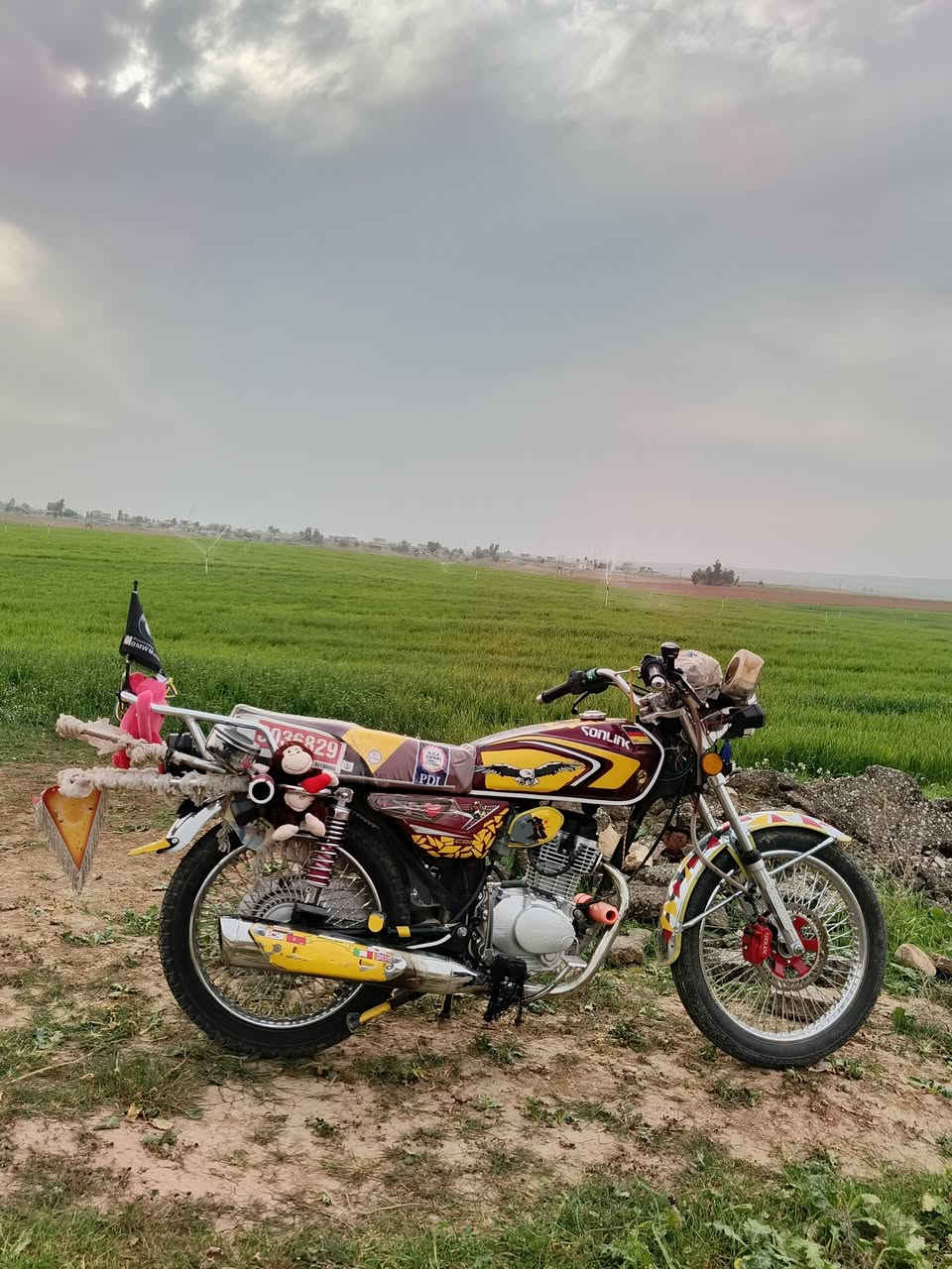 السلام عليكم  للبيع ماطور سولنك موديل 2025 محرك كبس ما مفتوح  دراجه جديده  منفيس مال شركه السعر 650 بي مجال للطيبين او هاذه رقمي تصل ***********رجان المو شراي لا ايعلق اعبر المنشور 🫡
