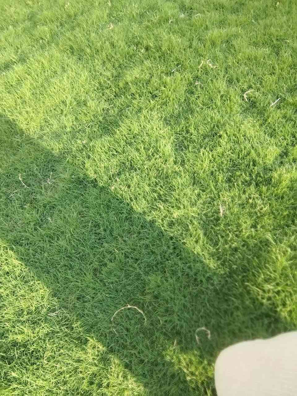 ثيل هندي وفرانسي معه التوصيل لطلب اتصل عله ***********
