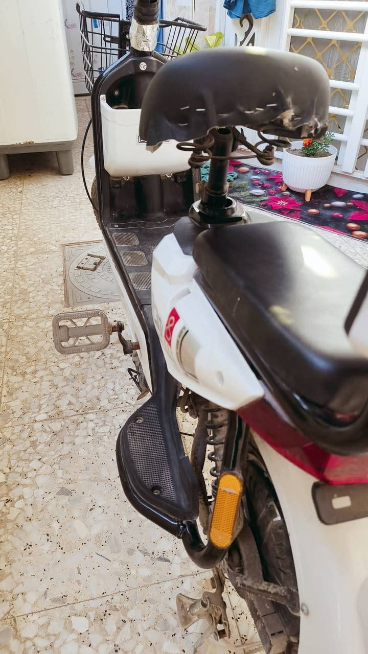 السلام عليكم 🤍
نوع الدراجه : شحن 
لون : أبيض 
تفاصيل: أشاير يمين يسار ضوء أزرق وأبيض 
عدد السرع :3
عدد بطاريات :4
سعر : 250بي مجال
المكان: بغداد الشعلة 
للاستفسار :*********** حيدر 
⛔⛔ملاحظه مهمة ⛔⛔ دراجه نضيفه استعمال جدا قليل دراجه شغل واطلع مابيهه نقص والدراجه مو الكوبي الشركه الاصليه
