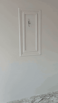 السلام عليكم وياكم اخوكم محمد الشمري للديكورات
اشتغل كافه انواع الديكورات 
جبسمن بورد
صباغ
تغليف جدران
بيدل الرخام
بديل الشيبورد 
بديل الحجر
بديل الخشب
صبغ واجهيات
صبغ سيراميك وكاونترات بصبخ الايبوكسي 
فوم واجهيات واطارات
سحبات بورك سحبات فلين
ديكورات بلازمه او رفوف

وبسعار مناسبه وخياليه 
وعندي اكثر من نضام بلعمل اقصاد او نقد وباسعار تنافسيه
راح اخليلك نموذج للعمل بفيديو واحد بكثير من الديكورات
للتصال والاستفسار الاتصال علئ
***********
***********
