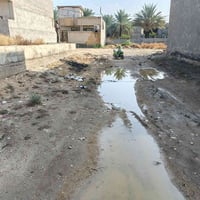 كربلاء • ١٠٠م • طابو زراعي