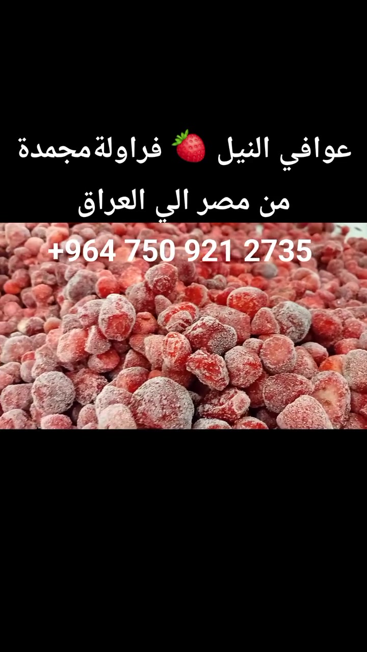 🍓 فراولة "فيستيفال" المجمدة.. طعم ولون الطبيعة بين يديك! 🇮🇶
​تعلن عوافي النيل | Awafi El-Nile عن جاهزية شحنات الفراولة المجمدة (IQF) للتوريد الفوري للسوق العراقي:
​🌟 لماذا فراولة عوافي النيل؟
• جودة فيستيفال: لون أحمر داكن وطعم غني ومميز.
• معتمدة ومحللة: منتج خاضع لأعلى معايير الرقابة والجودة التصديرية.
• تجميد احترافي: تقنية (IQF) التي تحافظ على تماسك الثمرة ونكهتها الطبيعية وكأنها طازجة.
• مثالية للتصنيع: سواء لمصانع العصائر، الحلويات، أو المربيات.
​💰 أسعار تنافسية: نوفر لك أفضل سعر للطن مع تسهيلات خاصة للتعاقد على الكميات والحاويات الضخمة.
​📞 لطلب العينات أو قوائم الأسعار المحدثة (تواصل مباشر مع المدير العام):
9647509212735+
​💬 أو عبر مراسلة واتساب مباشرة من الرابط الموجود في أول تعليق 👇
​عوافي النيل | جودة تصديرية تتخطى التوقعات.
​#عوافي_النيل #فراولة_مجمدة #بغداد


**إذا كنت صاحب هذا الإعلان وتريد حذفه لأي سبب، رجاءا أرسل رسالة إلى الدعم الفني**