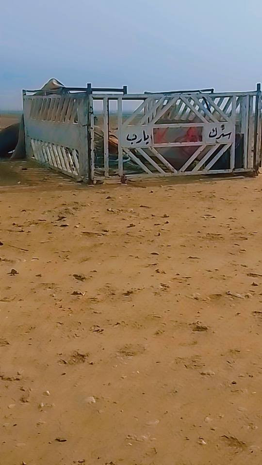 السلام عليكم للبيع محجل مالكيه فضل شمال موجود حيل نضيف سعر  150وبي مجال   مفرق الحضر ***********1
