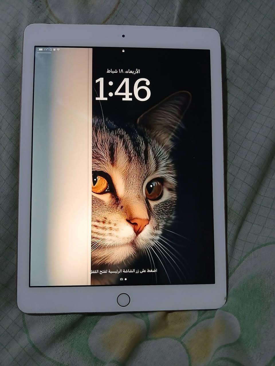 للبيع ايباد ابل جيل السادس زاكرة 128
60 فريم عالببجي 
سعرو 110 دولار


**إذا كنت صاحب هذا الإعلان وتريد حذفه لأي سبب، رجاءا أرسل رسالة إلى الدعم الفني**