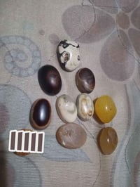 ٩ قطع • حجرات • مثقوبه