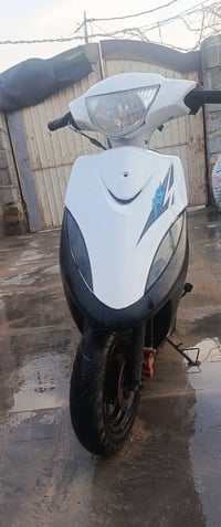 ماكس عدله • مفتوحه • بوشه ٥٥