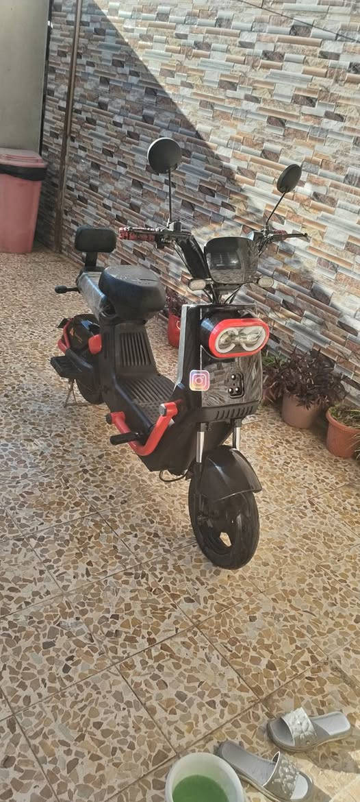 البيع ادفع سعر عجبني ابيع
معارض هم يرهم مكاني حي سومر


**إذا كنت صاحب هذا الإعلان وتريد حذفه لأي سبب، رجاءا أرسل رسالة إلى الدعم الفني**