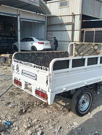 ستوته • مديل ١٩ • اوراق