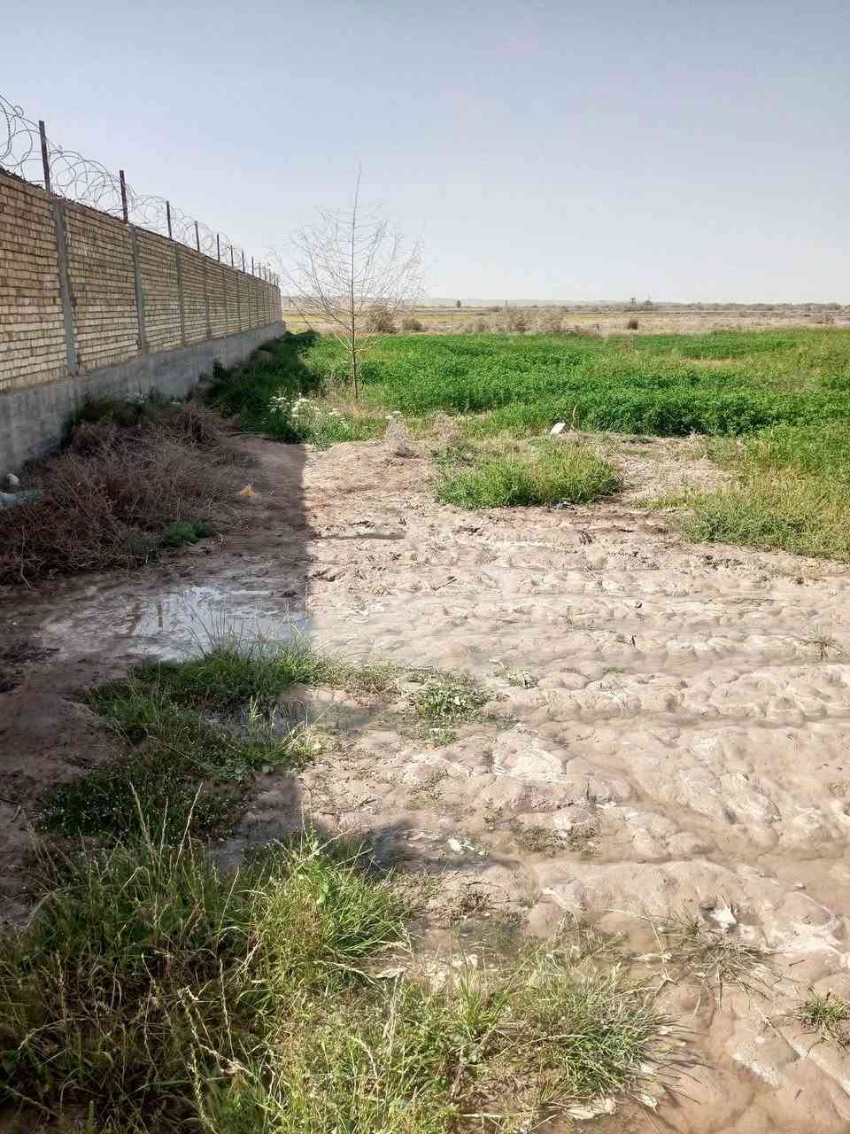 أرض زراعيه  قرار 35  للبيع المساحه الكليه 10 دونم نزال 207 وعرض 120
متوفر ماي سقي وشرب كهرباء  مشروطه  وشارع

 ارض زراعيه  وخاليآ مزوع جزء منها  مباشر ع الشط الوفاء

  العنوان ناصريه  منطقة  القريه العصريه  نهاية المنطقة

 تصلح مزرعه  او الاغراض تجاريه  

  سعر الدونم الواحد  20  وبي مجال بسيط   

 للاستفسار مراسلتي


**إذا كنت صاحب هذا الإعلان وتريد حذفه لأي سبب، رجاءا أرسل رسالة إلى الدعم الفني**