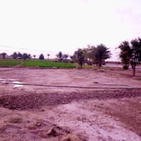 الحمزة الشرقي الديوانية • ٦ ونص دونم • مع بيت