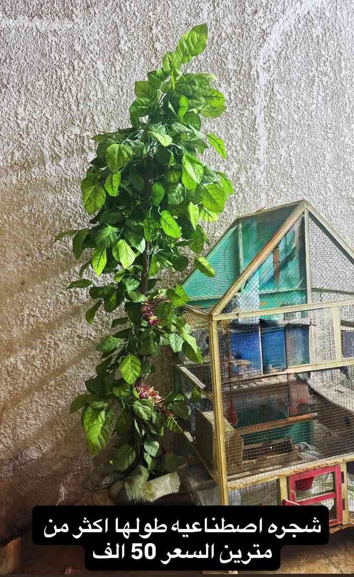 غراض للبيع مكاني حي الجوادين للاستفسار خاص


**إذا كنت صاحب هذا الإعلان وتريد حذفه لأي سبب، رجاءا أرسل رسالة إلى الدعم الفني**