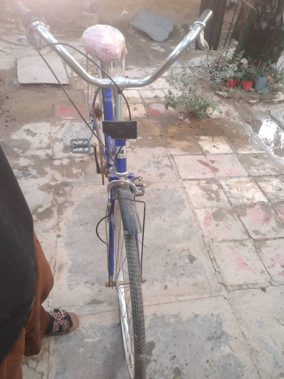 سلام عليكم بايسكل بناتي بهل شكل
بريكات يحتاج وتايرات ماعرف شبيهن نازله الباقي كله شغال للبيع قفل ٣٠ مكاني سبع قصور شارع المستوصف الكراج


**إذا كنت صاحب هذا الإعلان وتريد حذفه لأي سبب، رجاءا أرسل رسالة إلى الدعم الفني**