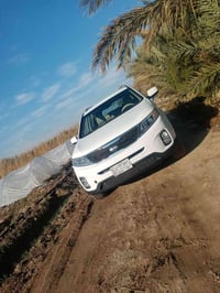 سورنتو • ٢٠١٤ • رقم بغداد