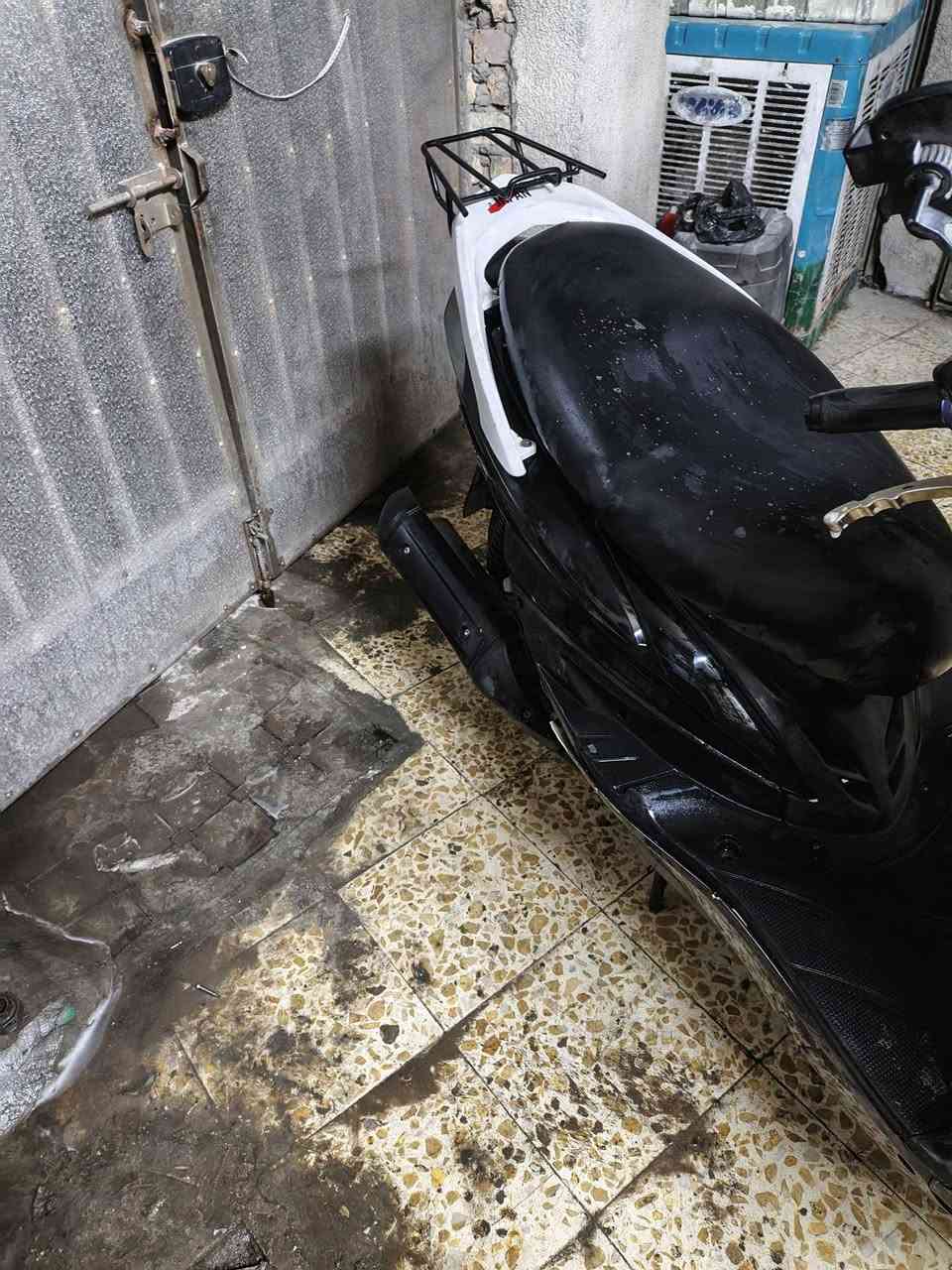 سلام عليكم سكنس فحل للبيع مكاني بغداد المشتل شارع المدارس سعر الدراجه خمسمية وخمسين  وبيهة مجال دراجه بلادية بيهة صوت كلج خلفي فقط ***********
