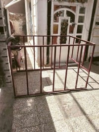 محجر • ستوته • دوانيه