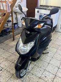 سكنس فحل • ياباني • كفاله