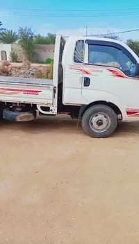 فحل 2010 • مكفول • نجف