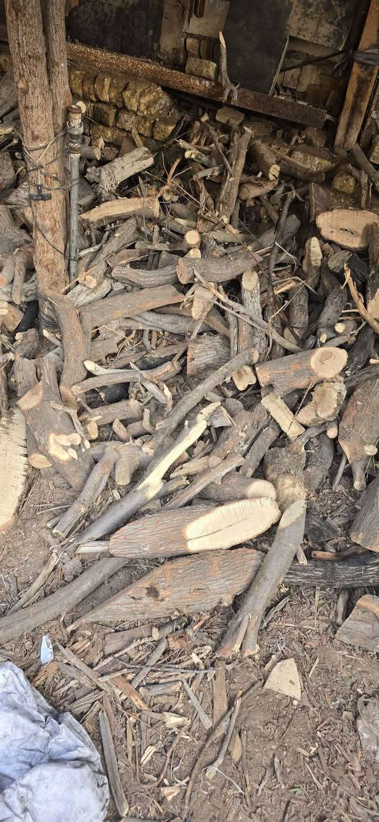 #فحم_ومناقل_ميسان_العنوان_ميسان_قطاع_٢٨_فرع_مركز #شرطة_الصدر_مقابل_مول_السنابل_يوجد_توصيل_للمطاعم وكافة مناطق ميسان  جمله ومفرد ***********#ميسان_العراق🇮🇶 #CapCut #ميسان_قطاع_28_مقابل_سنابل_مول 
متواجدين من ساعه ٨ صباحا لساعه ١١  ليلا
