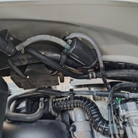 بريز بغبغاء • كفالة سنة • بغداد