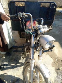 ستوته • بدون اوراق • الخضرانيه