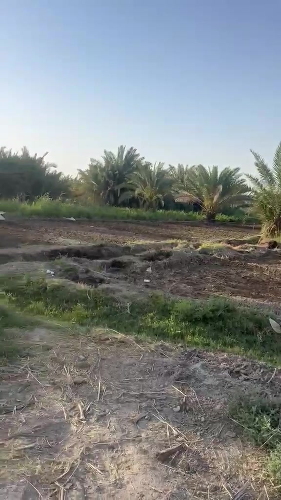 بستان 2 دونم للبيع زراعي المكان اسديناويه منطقة اصبحه يبعد عن الشارع العام كليو متر السعر 55 مليون الشراي ينتصل على الرقم ***********
