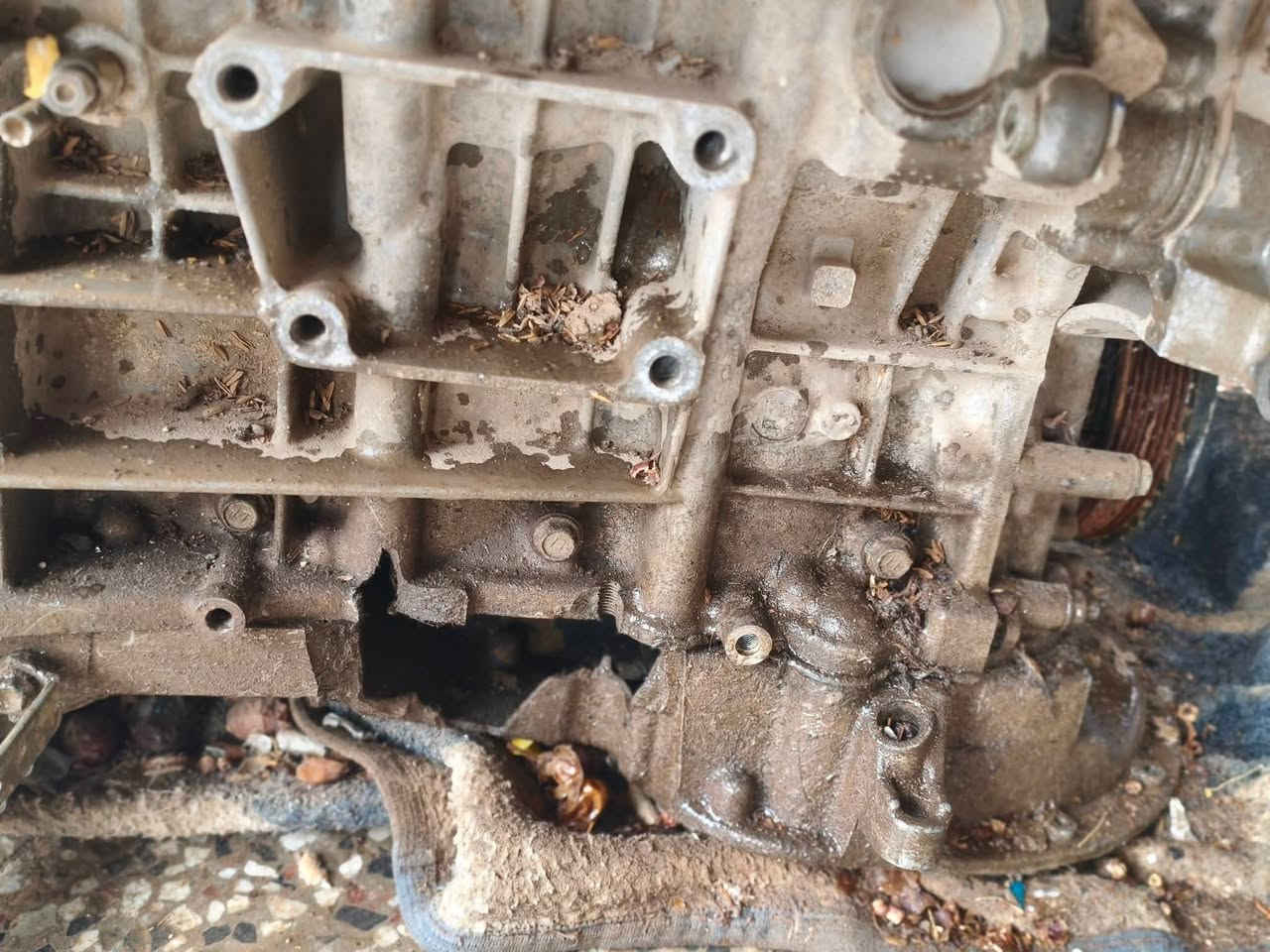 السلام عليكم ورحمة الله وبركاته يوجد محرك هايلوكس فور ويل V6 كلشي شغال حساسات بس بي ٣ فطور بلشه كامل مكاني بابل كفل قرب الأمام زيد أبن علي ع السلام شراي اتصل ***********
