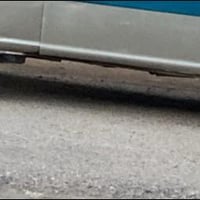 تخم ويل منغولي حجم ١٥ نضاف ما بيهن ولا فطر مراوس مثلهن حجم ١٤ مراوس فق...