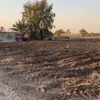 أرض مخدومة • ٤ دونم • اليوسفية جسر صبار