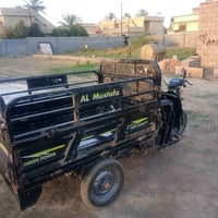 ستوته • شحن • ابو غراب